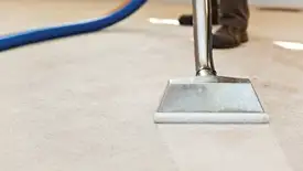 Carpet cleaning wand head gliding over a light carpet during hot-water extraction, Norfolk, VA.