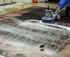 Professional rug cleaning with a rotary floor machine and shampoo foam, deep-cleaning an area rug, in Norfolk, VA.